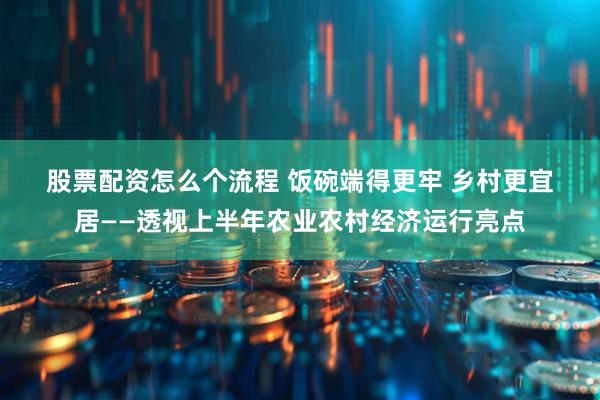 股票配资怎么个流程 饭碗端得更牢 乡村更宜居——透视上半年农业农村经济运行亮点
